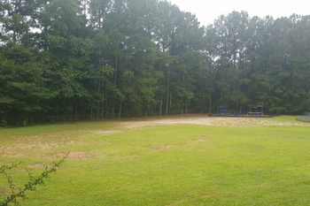 Field