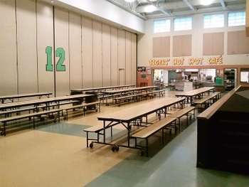 Multipurpose/Commons