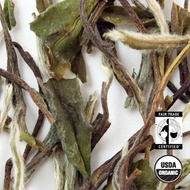 Organic Bai Mu Dan White Tea from Arbor Teas