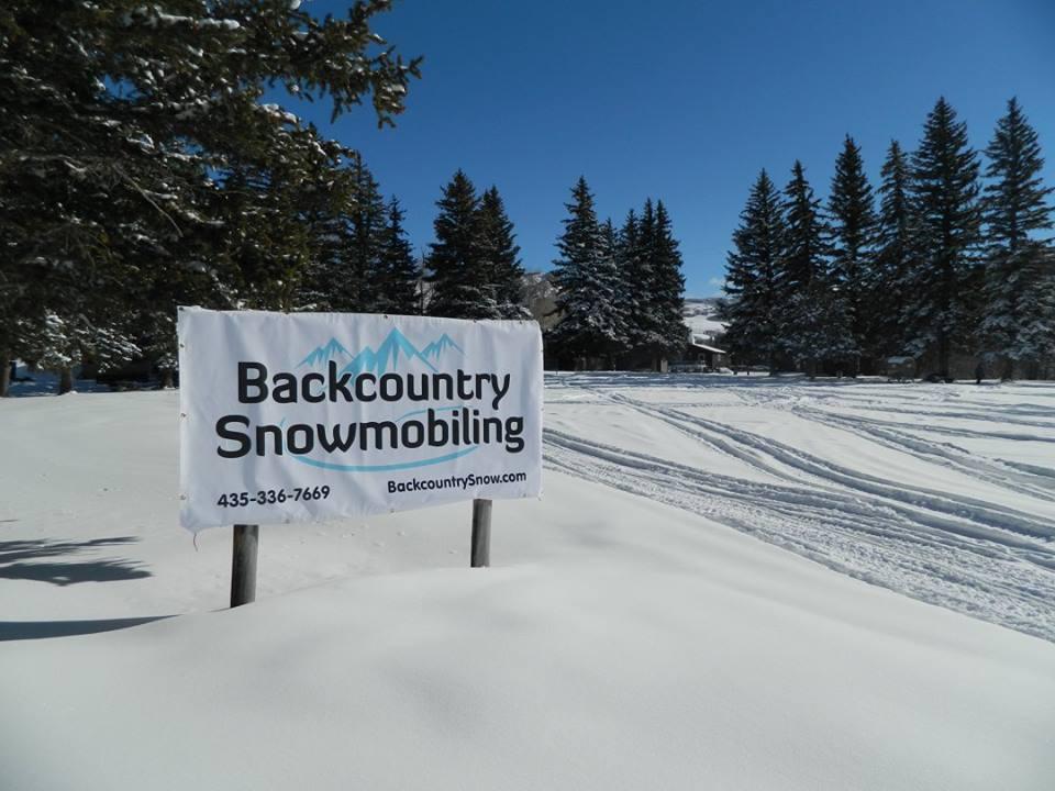 Standard Snowmobile Tour photo 4