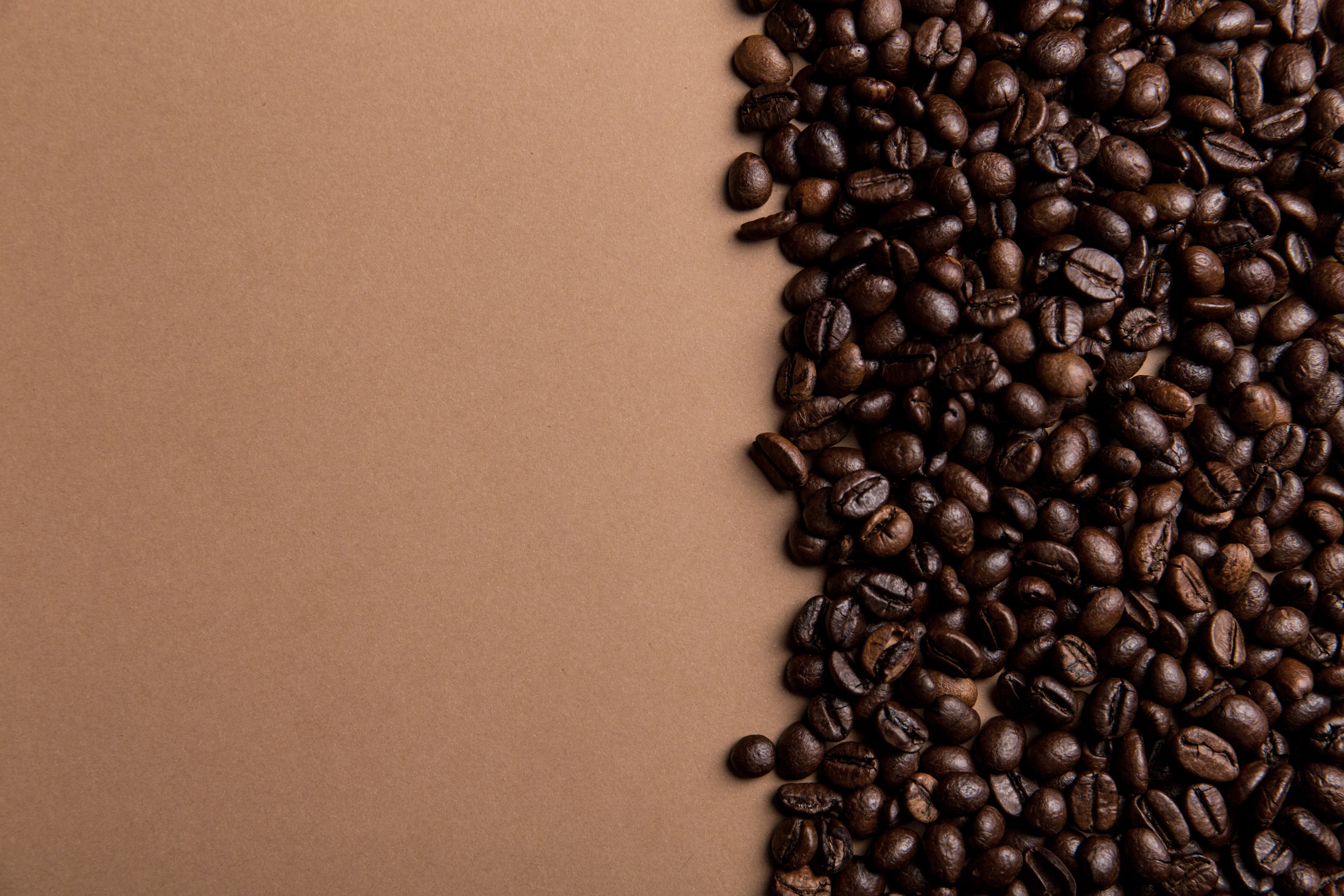 CodingCoffee-Junior