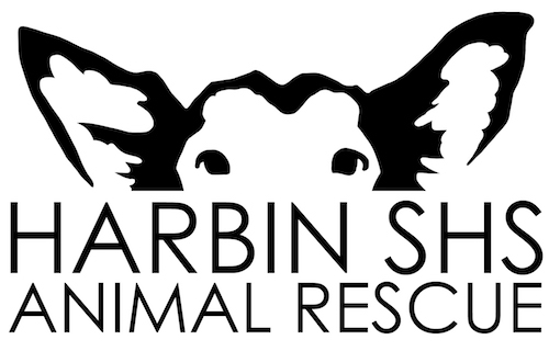 Harbin SHS Animal Rescue logo