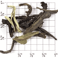 ZS90: Lapsang Souchong Black Dragon from Upton Tea Imports