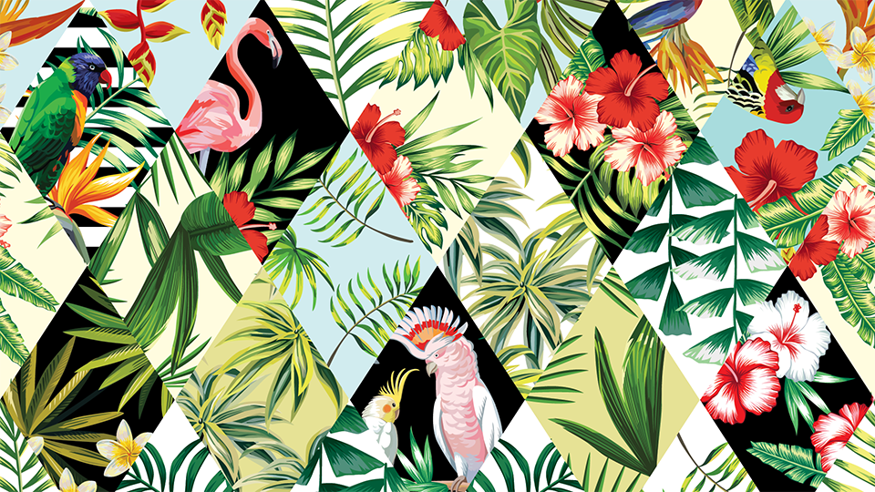 Product image for Herramientas de Ilustración digital con Illustrator