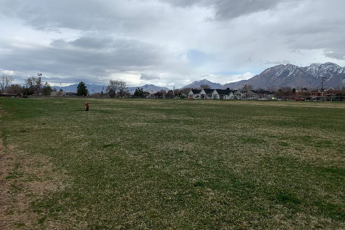 Fields