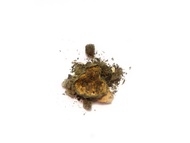 Pineapple Mint from Cornelia Bean