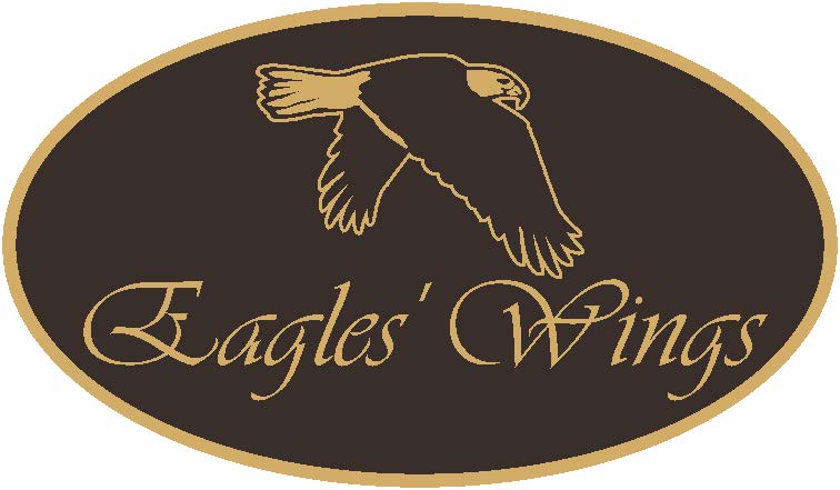 Eagles' Wings, Inc. logo