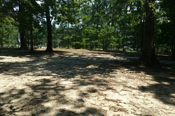 Field