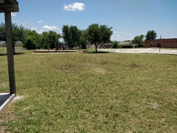 Field