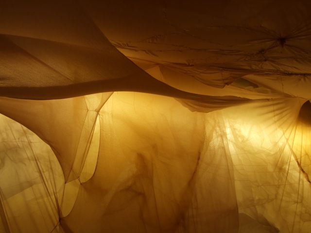 image: 