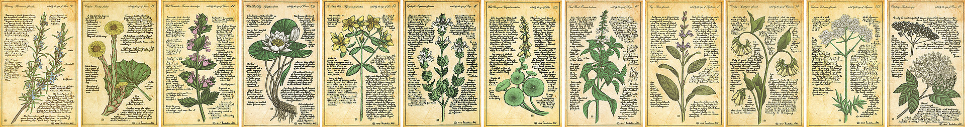 The 12 'Healing Herbs of the Zodiac' designs.