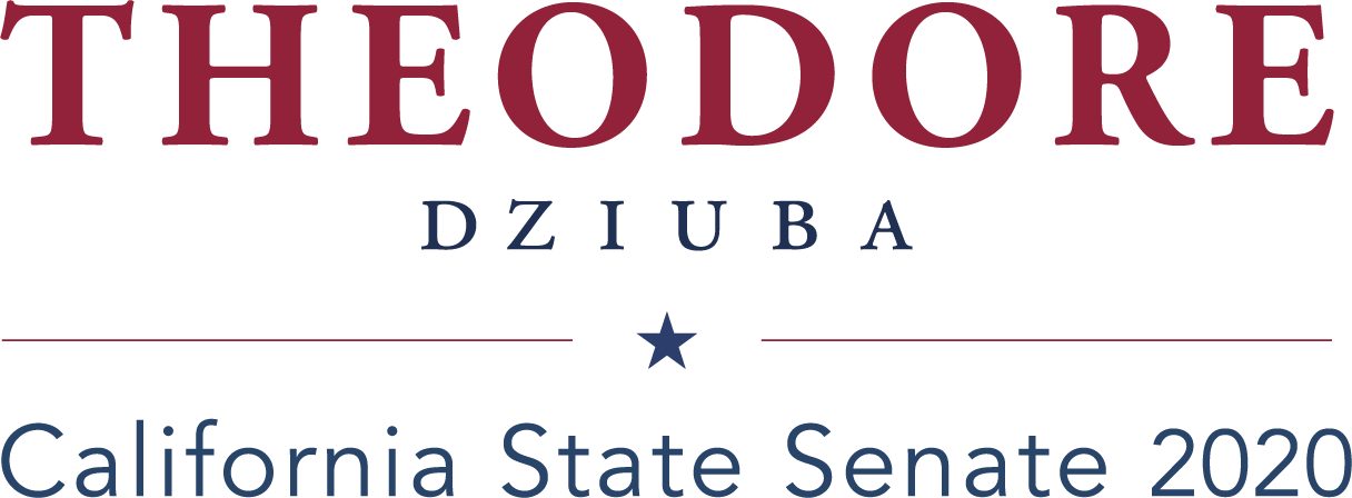 Theodore Dziuba for Senate 2019 logo