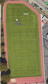 Synthetic Turf - Field