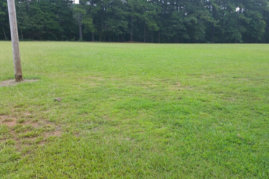 Field