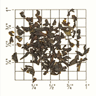Kairbetta Estate Nilgiri BOP CL/CH (TN82) from Upton Tea Imports