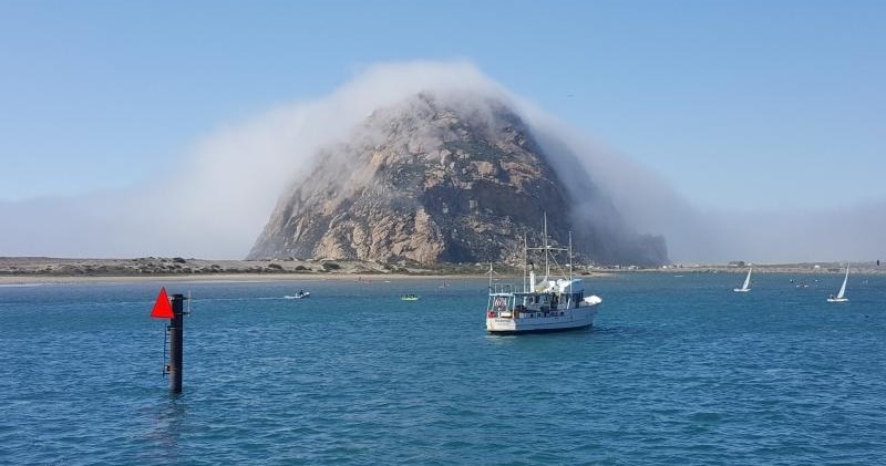 Experience the beauty of Morro Bay aboard Chablis Cruises' Luncheon Harbor Cruise, an unforgettable adventure combining stunning coastal views, fresh ocean air, and delicious onboard dining. As you set sail on a spacious, comfortable vessel, you'll enjoy panoramic vistas of the iconic Morro Rock and rugged shoreline, accompanied by knowledgeable guides who share fascinating local stories and history. This cruise offers a perfect blend of relaxation and exploration, ideal for food lovers, nature enthusiasts, and those seeking a leisurely day on the water. During the journey, guests can savor a freshly prepared lunch served aboard, often featuring local seafood and seasonal ingredients, making for a delightful culinary experience with scenic backdrops. Whether celebrating a special occasion or simply wanting to immerse yourself in the coastal charm, this private cruise delivers personalized service in an intimate setting. Keep an eye out for playful harbor seals, soaring seabirds, and occasionally spotting dolphins or whales during migration seasons. The cruise is family-friendly and suitable for all ages, making it an excellent choice for travelers seeking a memorable outdoor adventure in California's Central Coast. - San Luis Obispo