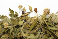 La Taïga Sauvage from Camellia Sinensis
