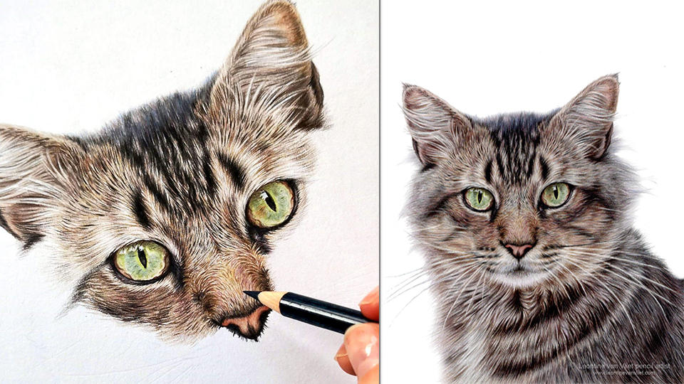 How to draw a photo realistic cat with colored pencils | Leontine van