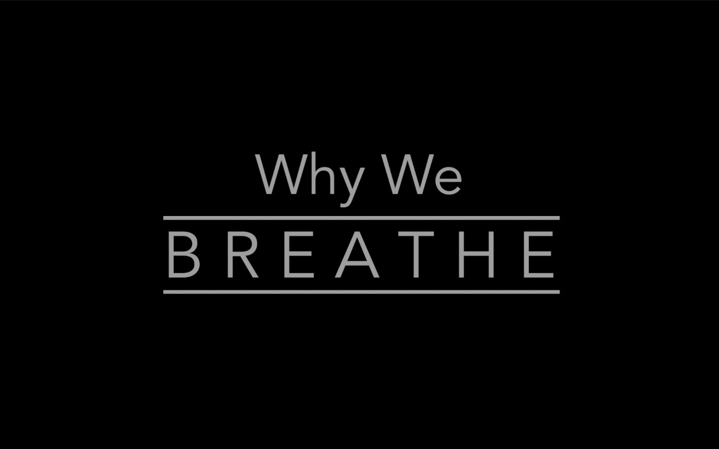 A Walk In The Parks Productions logo