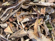 White Peony Organic (Bai Mu Dan) from Blue Mountain Tea Company