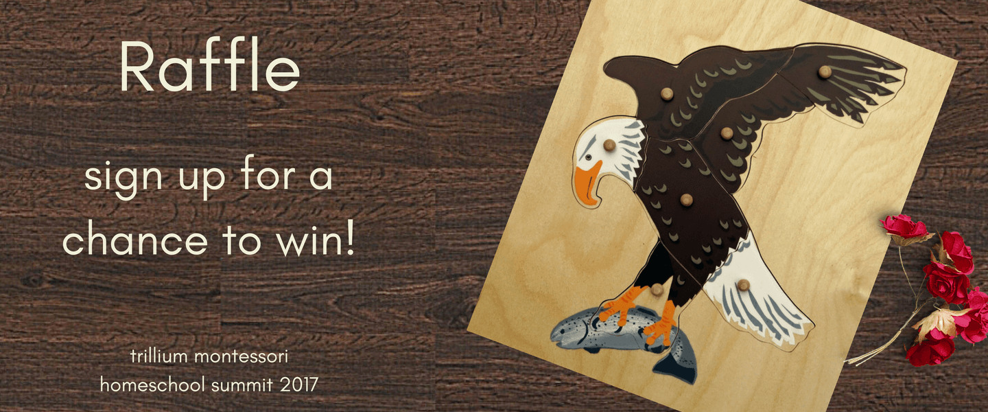 trillium wooden puzzles