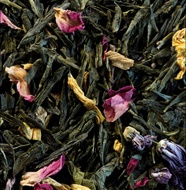 Sencha Printemps from Compagnie & Co (formerly Compagnie Coloniale)