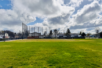 Baseball Field Grass