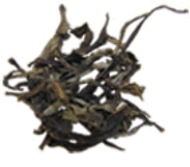 Spring Wonder from The Tao of Tea