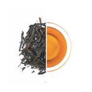 Pine Needle Wakoucha from Kyoto Obubu Tea Farms