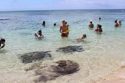 Northshore Circle Island Adventure photo 4