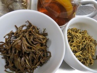 Imperial Mojiang Golden Bud Yunnan Tea 2012 from Yunnan Sourcing