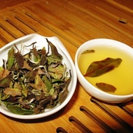 Wild White Tea from Shang Tea