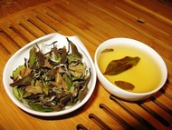 Wild White Tea from Shang Tea