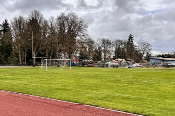Football Field Grass