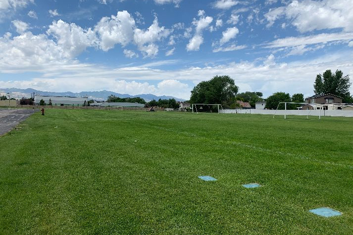 Fields