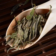 Fuding "White Peony" Bai Mu Dan White Tea * Spring 2017 from Yunnan Sourcing