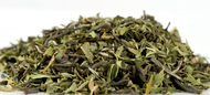 Organic Moroccan Mint from Intelligentsia