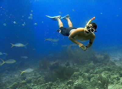 Snorkeling Tour