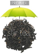 Premier Water Fairy Oolong from Stir Tea