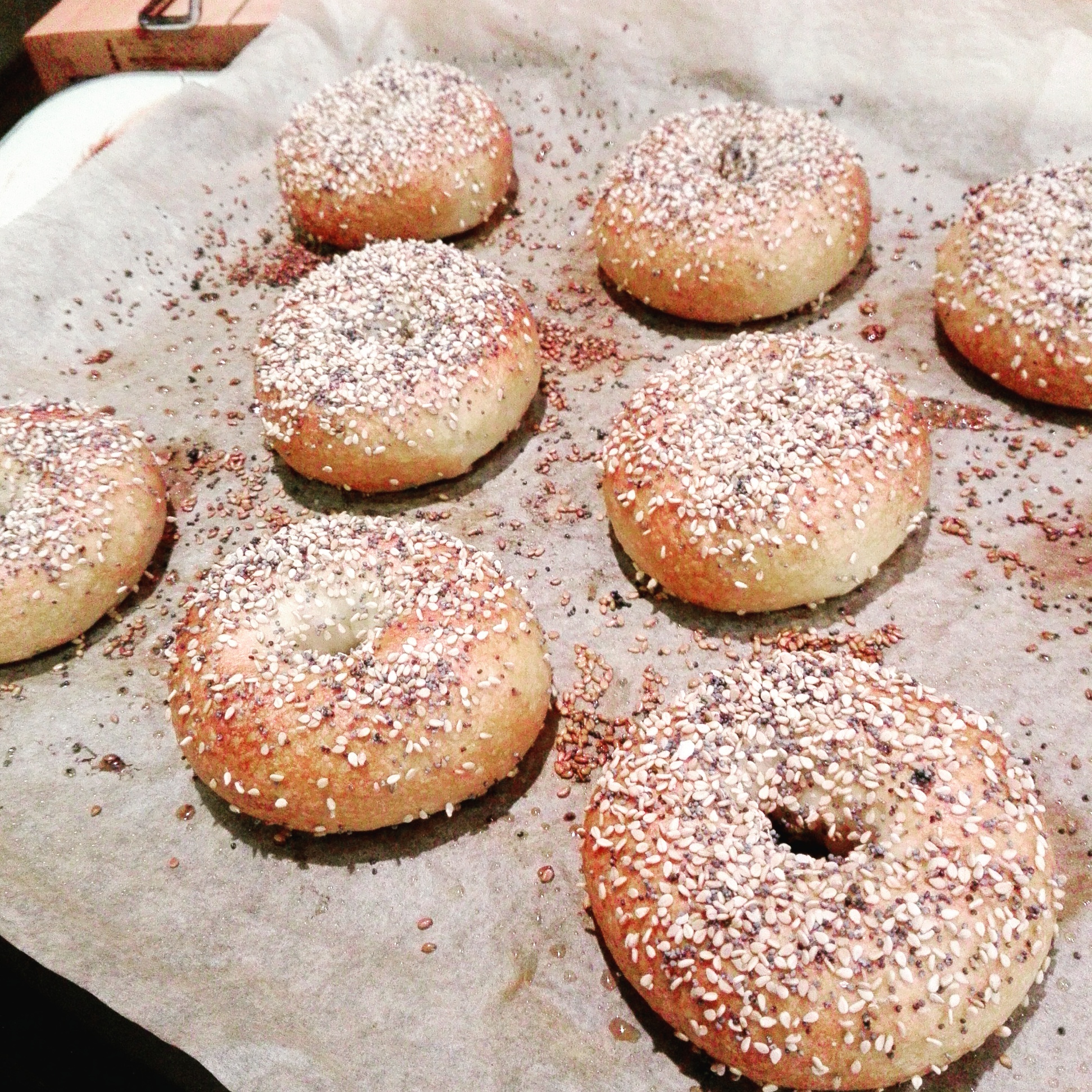Amazing Chewy Bagels From Scratch Recipe ChefSteps