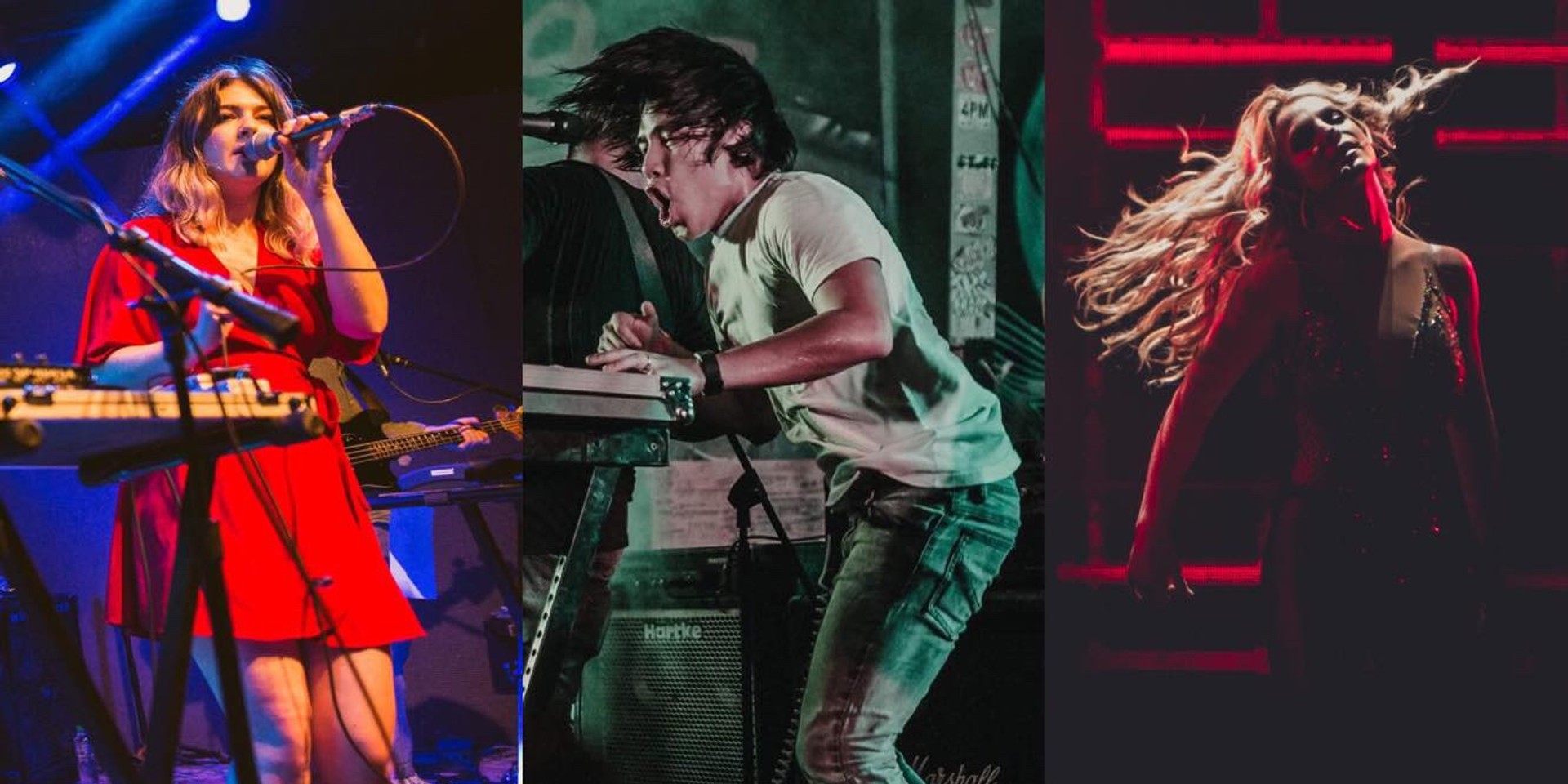2017's Best Music Moments as chosen by live music photographers