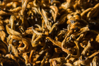 Imperial Gold Buds community photo