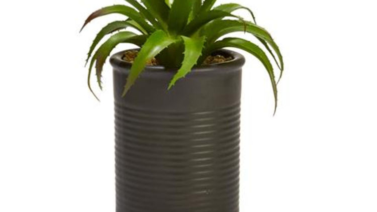 Succulent Tin Black Plants x 3 - Kmart