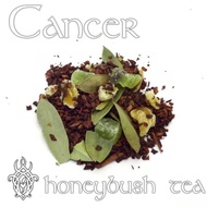 Cancer from The Forest Witch