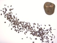 Gunpowder Green from First Class Teas