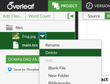 Overleaf files long filename screenshot