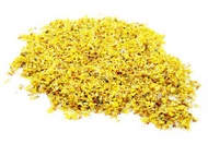 Osmanthus from ESGREEN