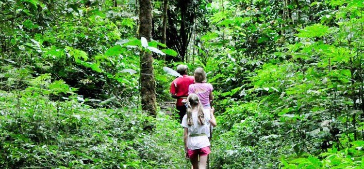 Jungle Natural Trekking