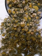 Egyptian Chamomile from Unknown