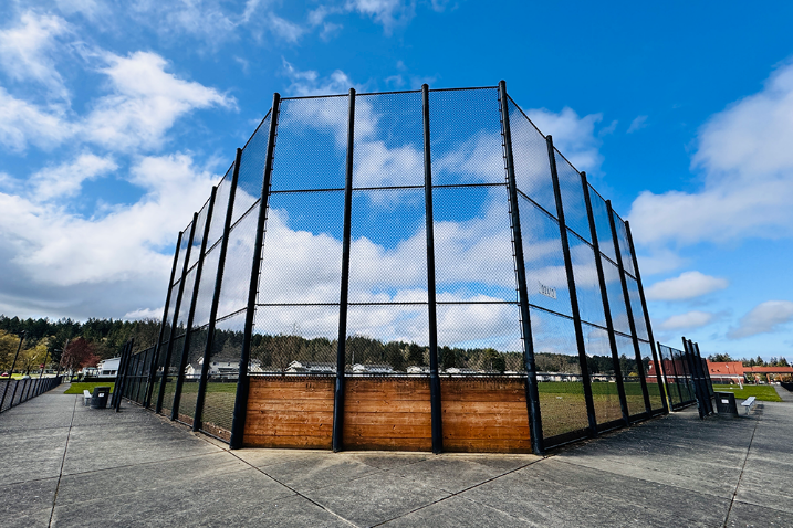 Baseball Field Grass